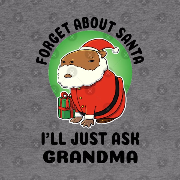 Forget about Santa I'll just ask Grandma Capybara Santa by capydays